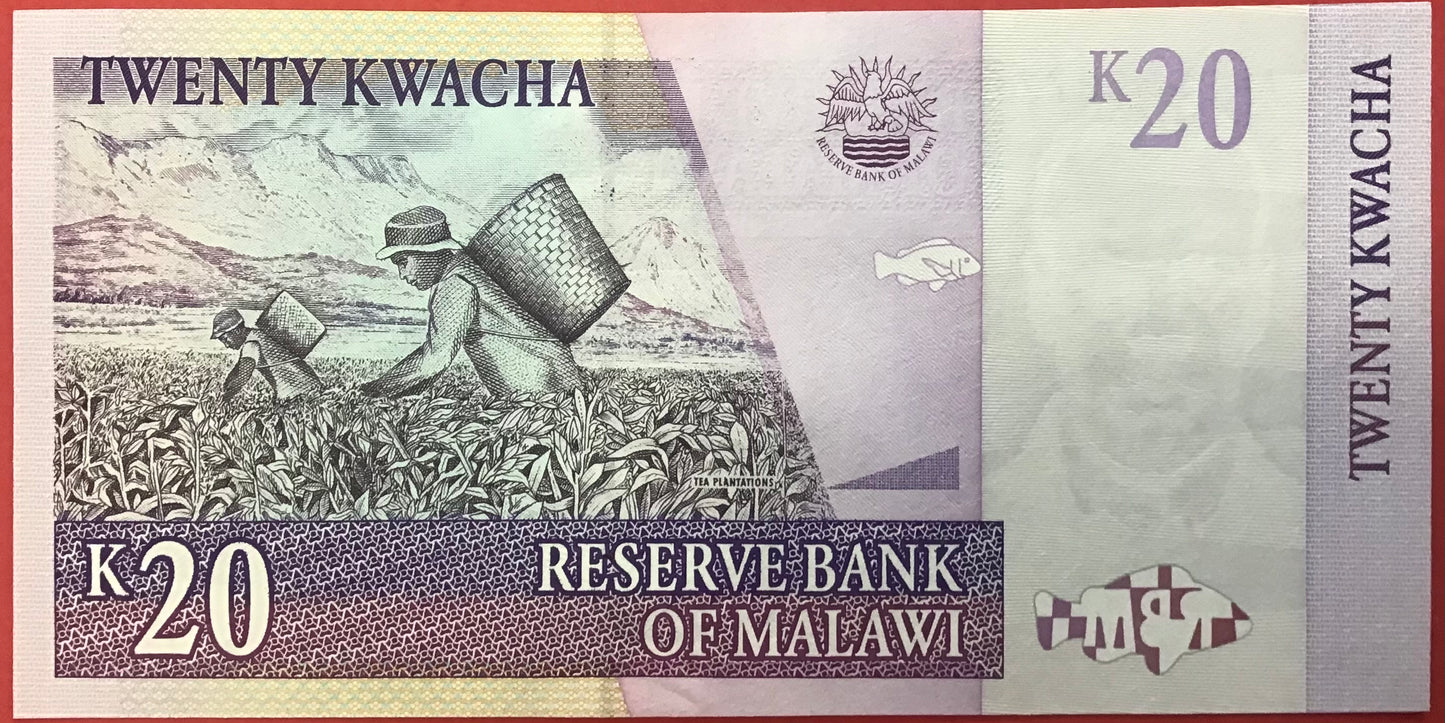 Malawi - 20 Kwacha 1.7.1997 P#38b Kvalitet 0