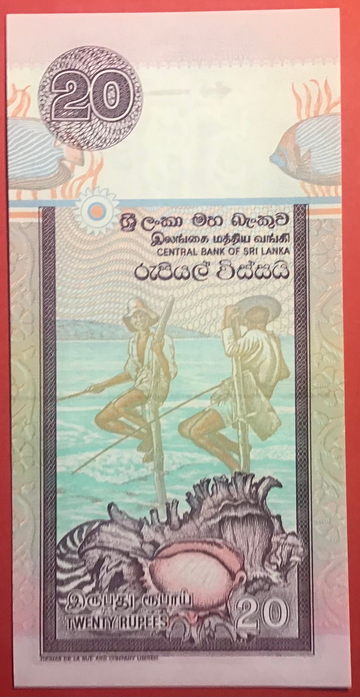 Sri Lanka - 20 Rupees 12.12.2001 P#109b Kvalitet 0