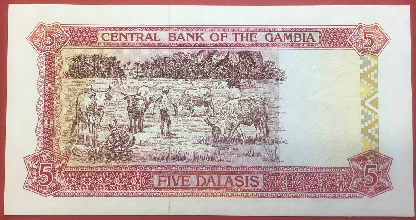 Gambia - 5 Dalasis (1991-95) P#12b Kvalitet 0