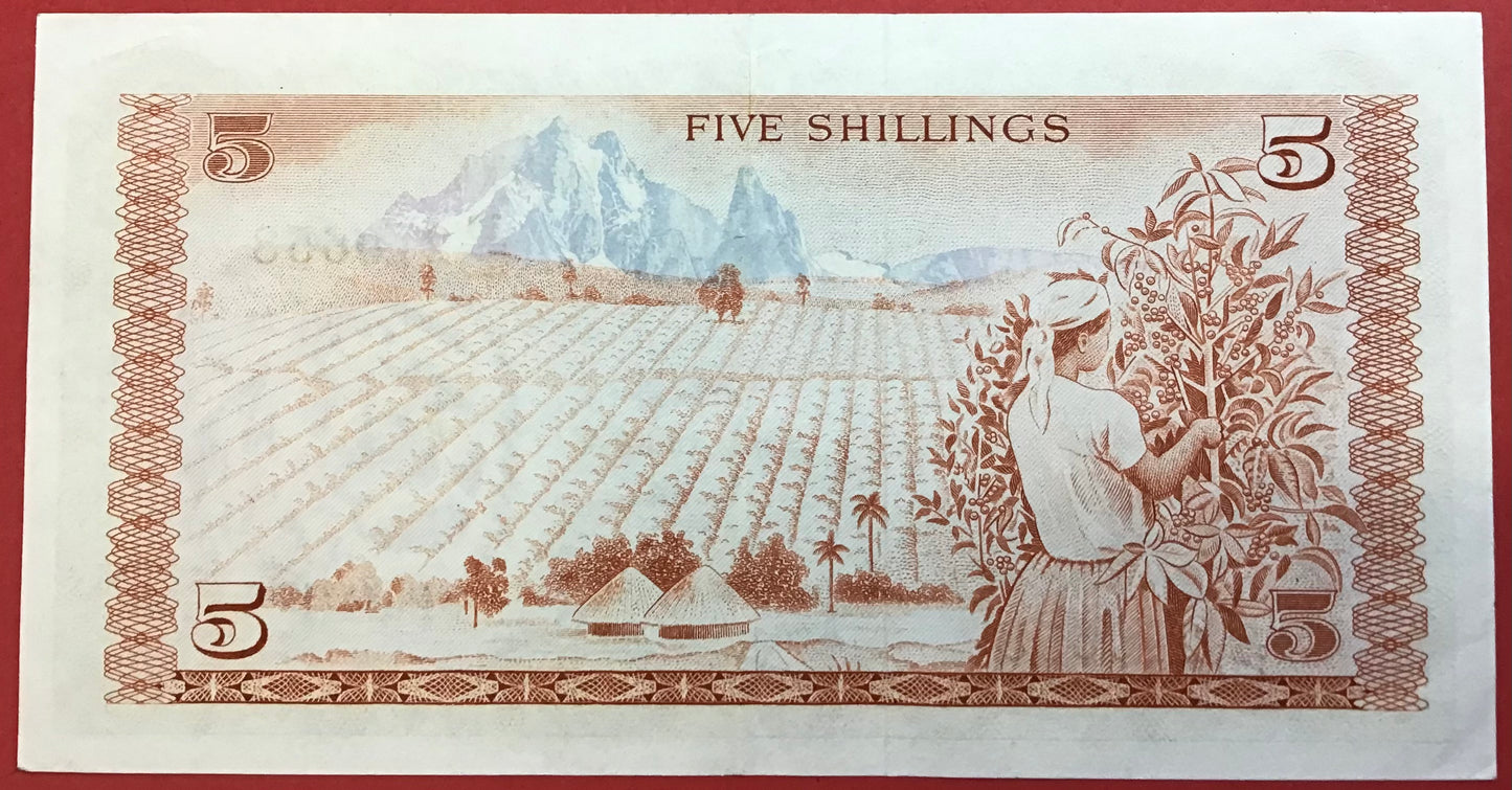 Kenya - 5 Shillings 1.1.1975 P#11b Kvalitet 01