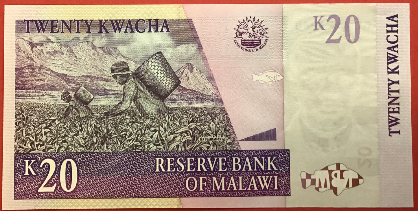 Malawi - 20 Kwacha 31.10.2009 P#52d Kvalitet 0