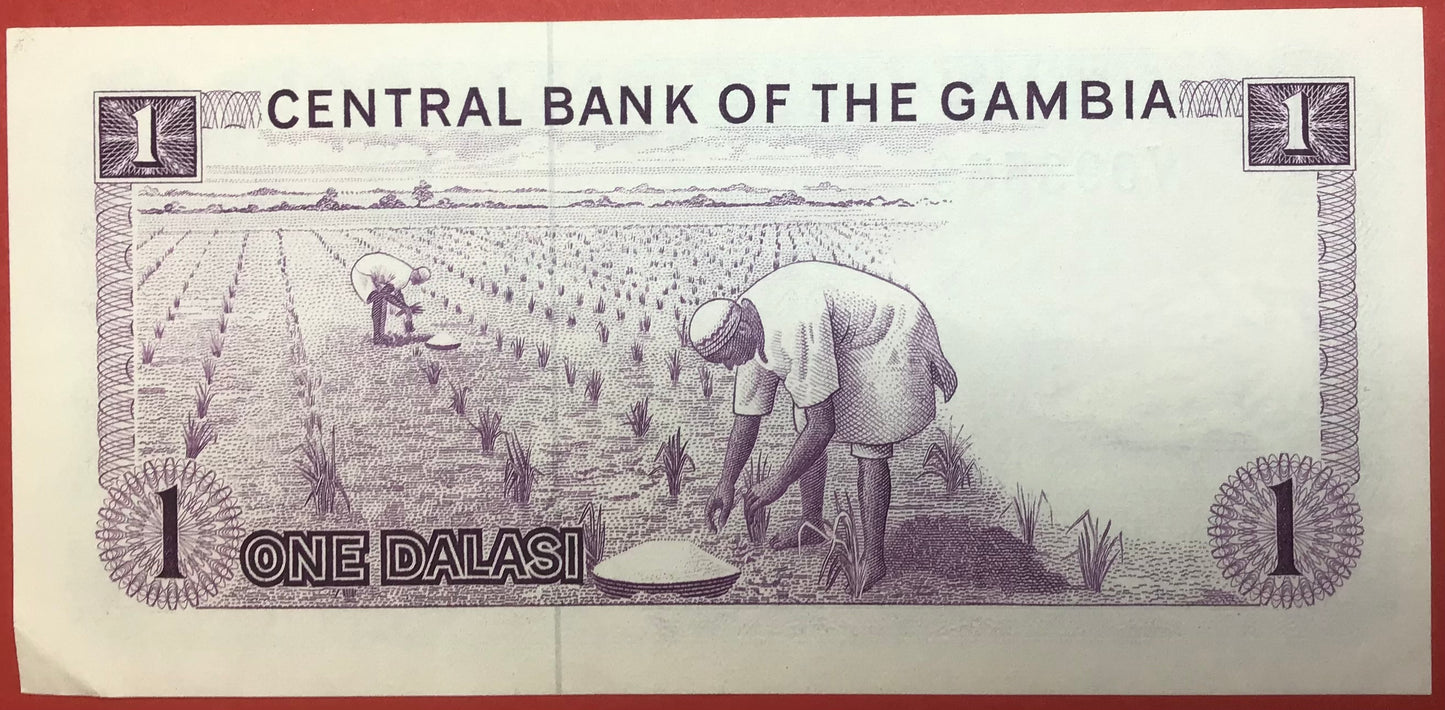 Gambia - 1 Dalasi (1971-87) P#4f Kvalitet 01