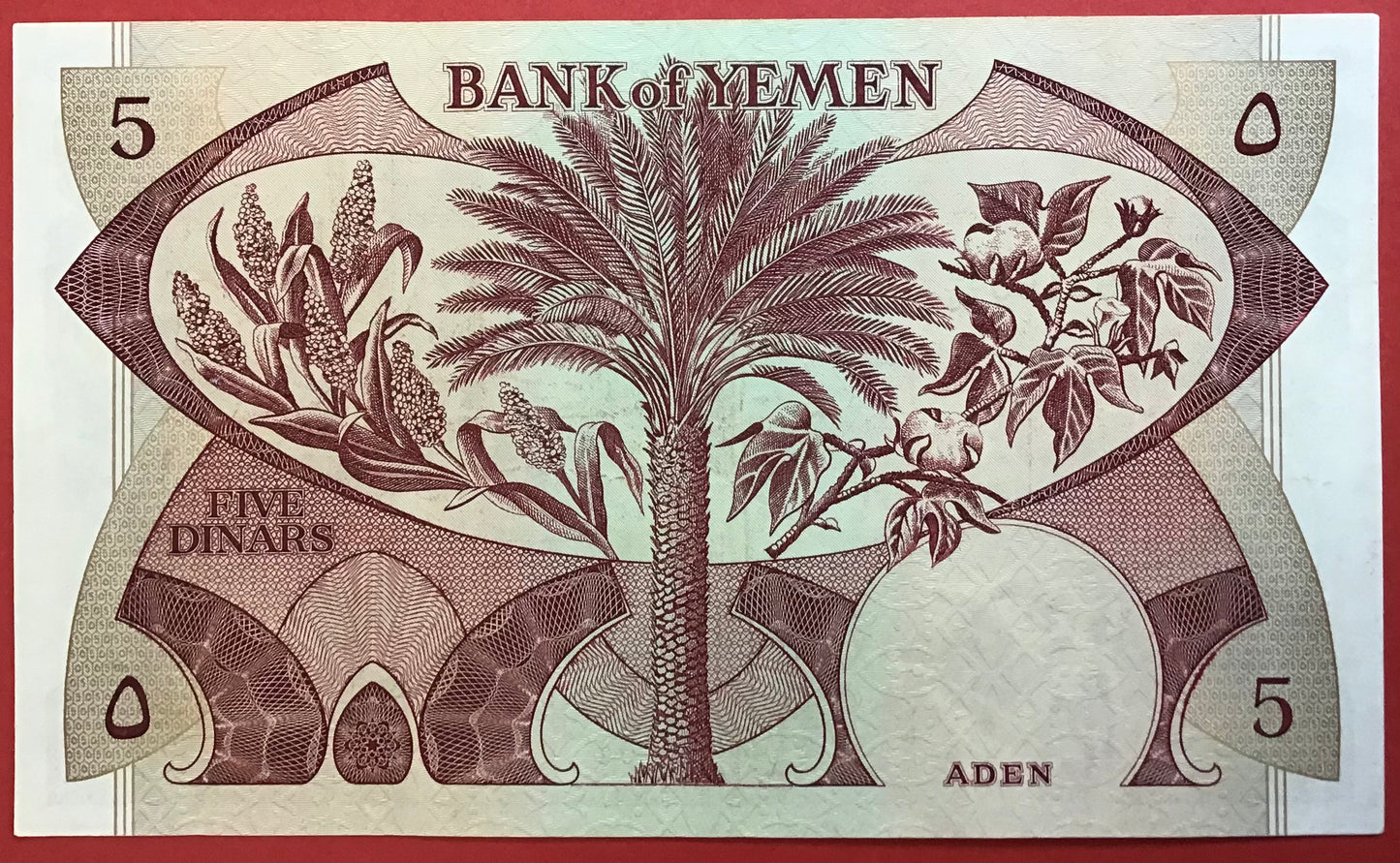 Yemen Democratic Republic - 5 Dinars (1984) P#8b Kvalitet 01