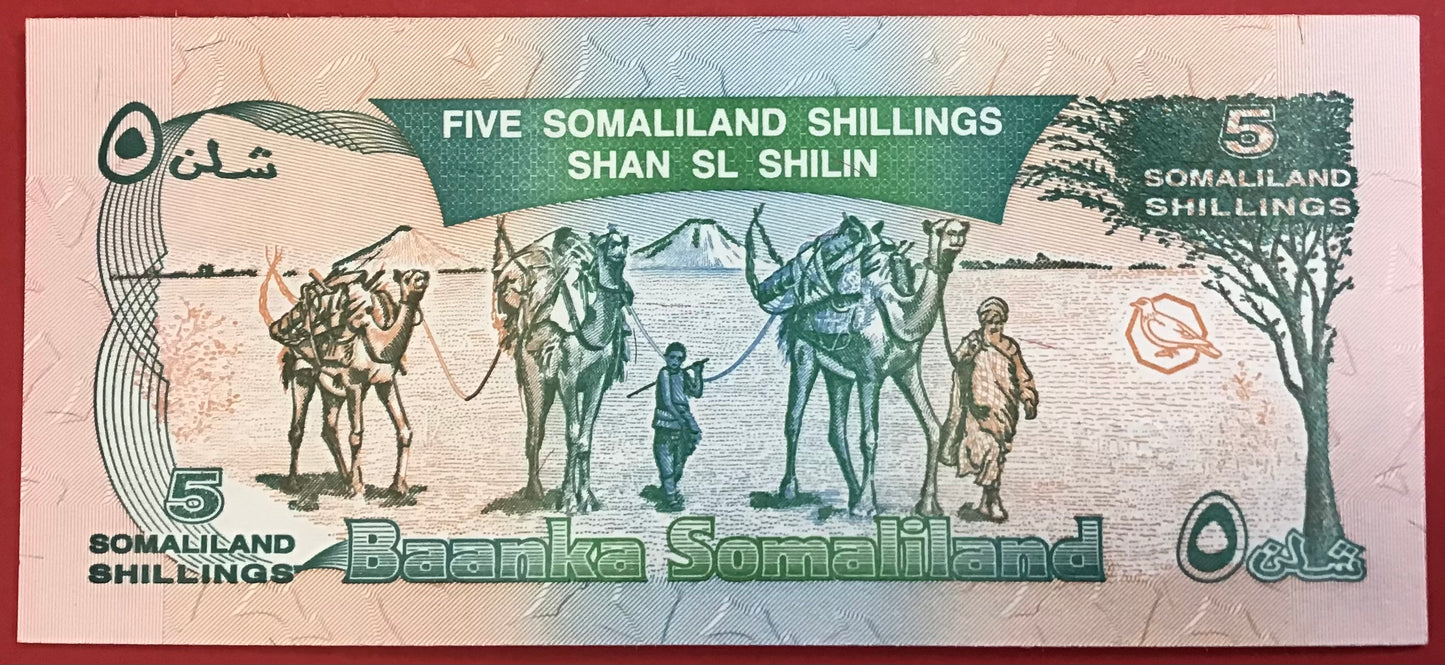 Somaliland - 5 Somaliland Shillings 1994 P#1a Kvalitet 0