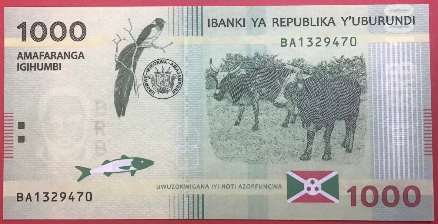 Burundi - 1000 Francs 15.1.2015 P#51 Kvalitet 0