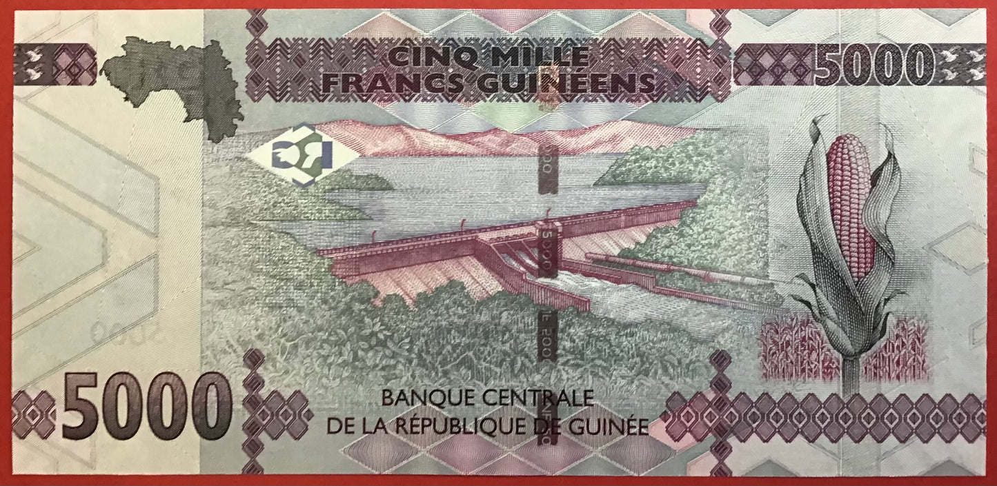 Guinea - 5000 Francs 2015 P#49 Kvalitet 0