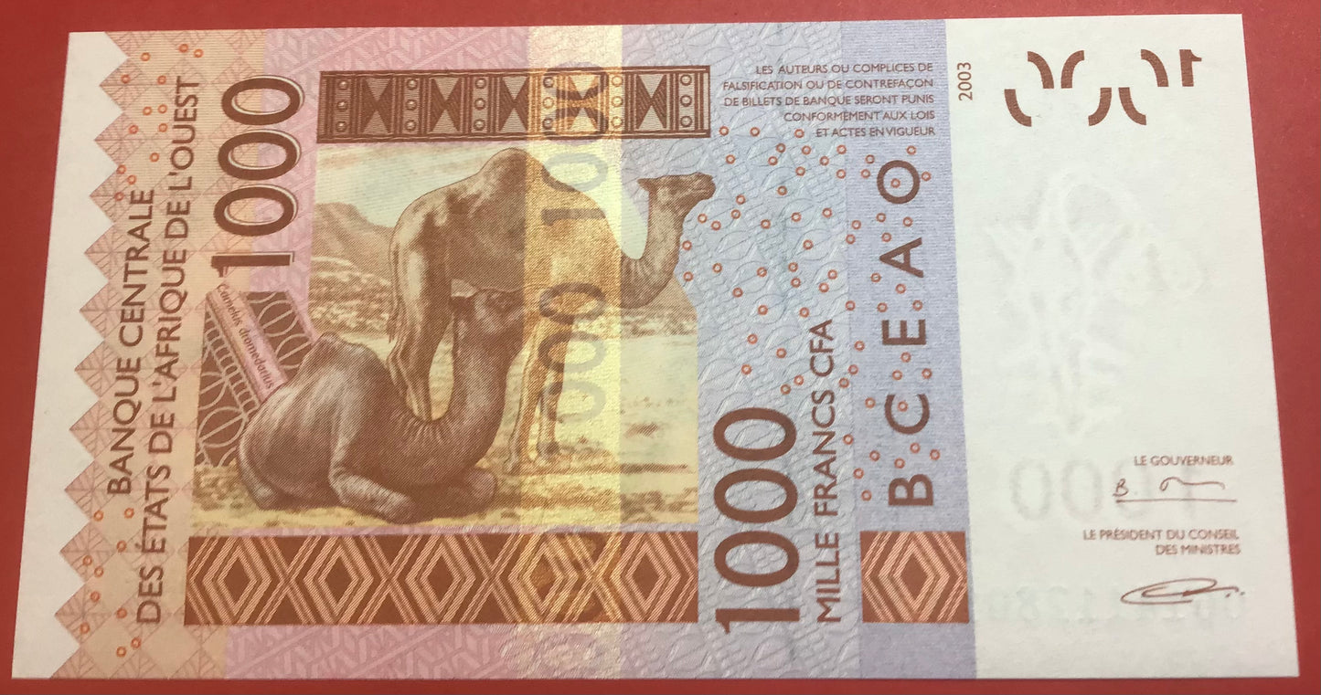 West African States/Benin - 1000 Francs 2006 P#215Bd Kvalitet 0