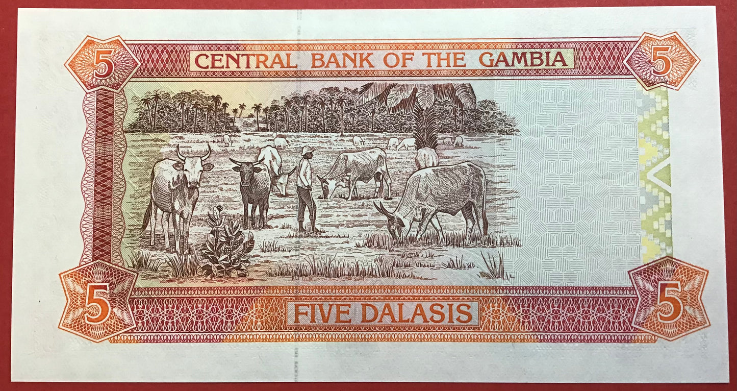Gambia - 5 Dalasis (2001-05) P#20c Kvalitet 0
