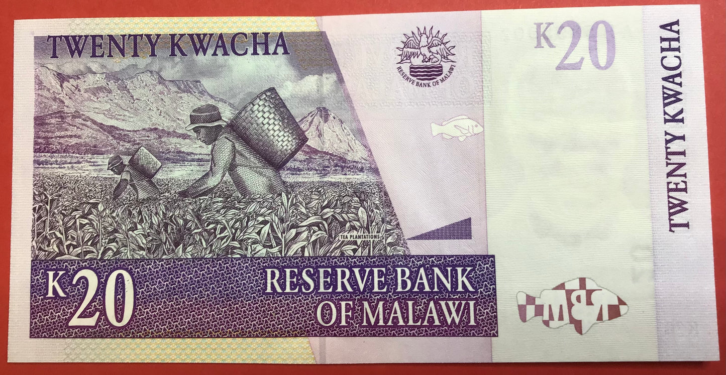 Malawi - 20 Kwacha 1.4.2004 P#44b Kvalitet 0