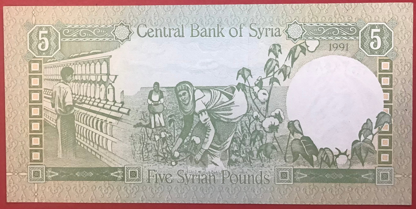 Syria - 5 Pounds 1991 P#100e Kvalitet 0
