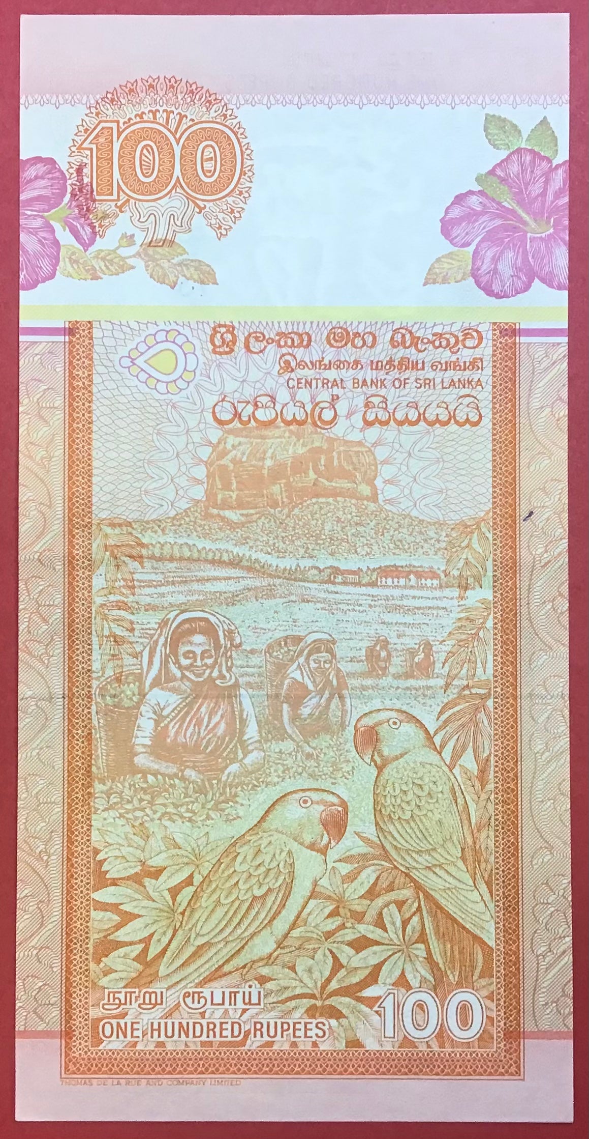Sri Lanka - 100 Rupees 1.7.1992 P#105a Kvalitet 01