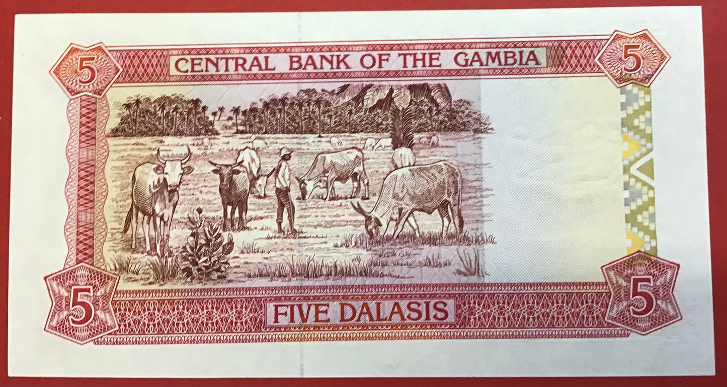 Gambia - 5 Dalasis (1991-95) P#12a Kvalitet 0