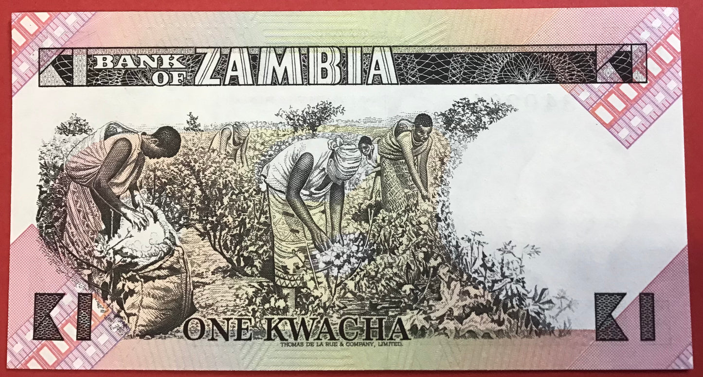 Zambia - 1 Kwacha (1980-88) P#23b Kvalitet 0