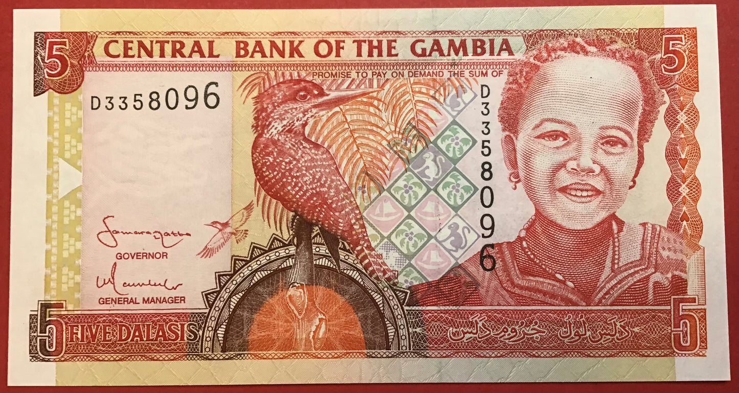 Gambia - 5 Dalasis (2001-05) P#20c Kvalitet 0