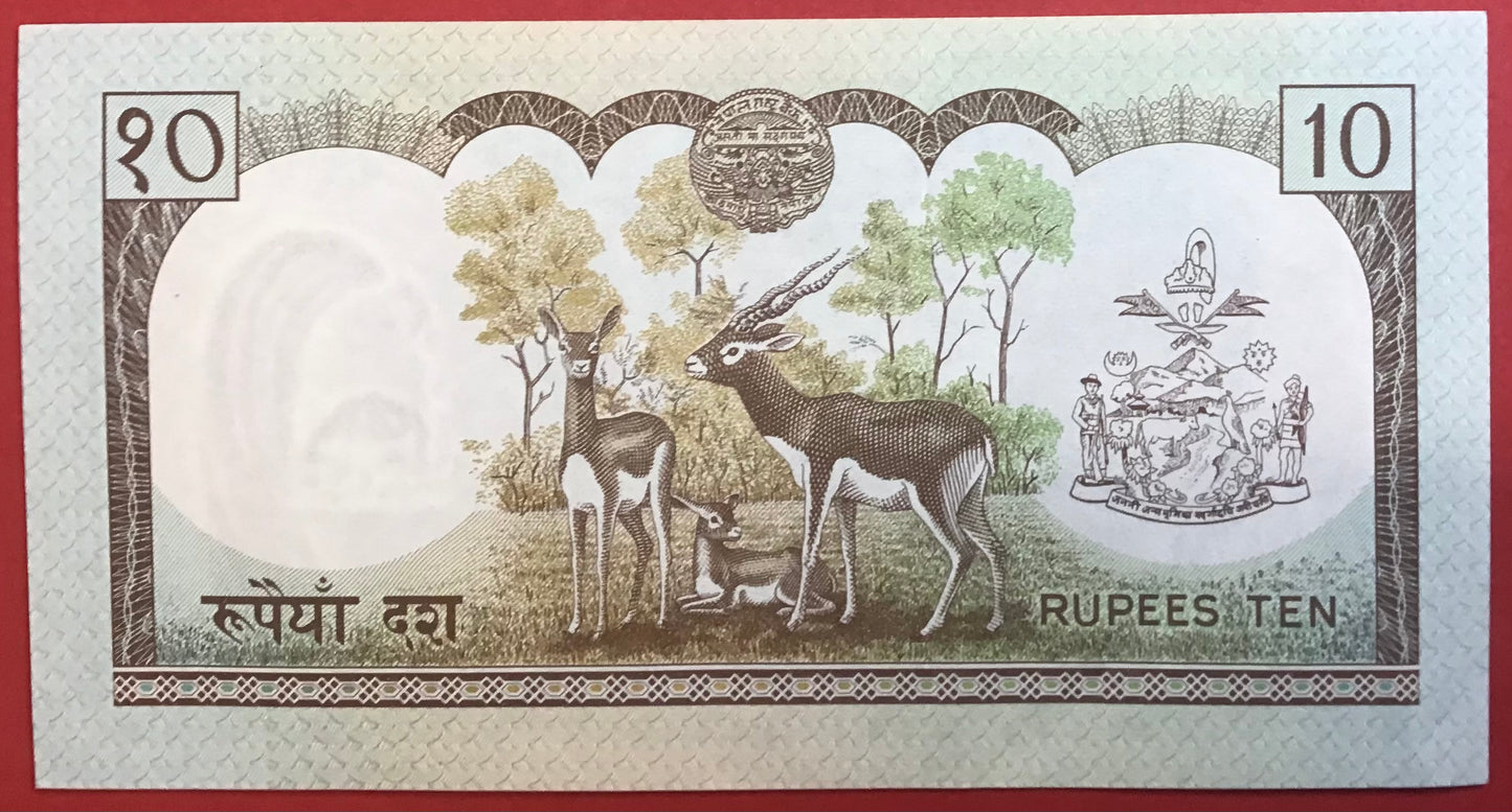 Nepal - 10 Rupees (1985-87) P#31a Kvalitet 0