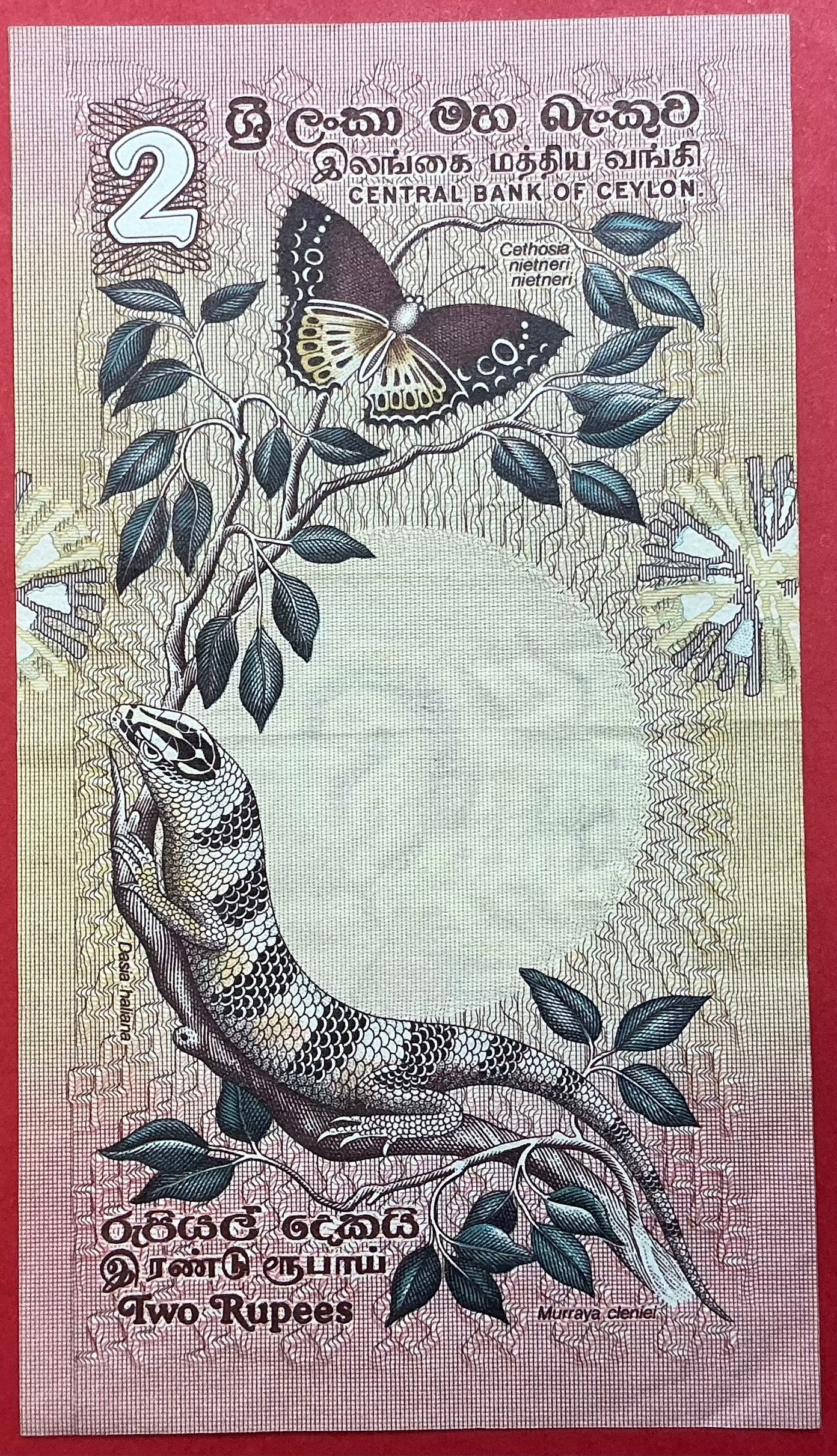 Sri Lanka - 2 Rupees 26.3.1979 P#83 Kvalitet 1+