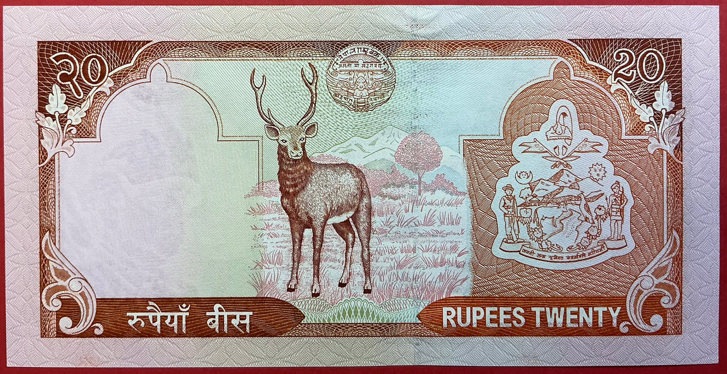 Nepal - 20 Rupees 2006 P#55 Kvalitet 0