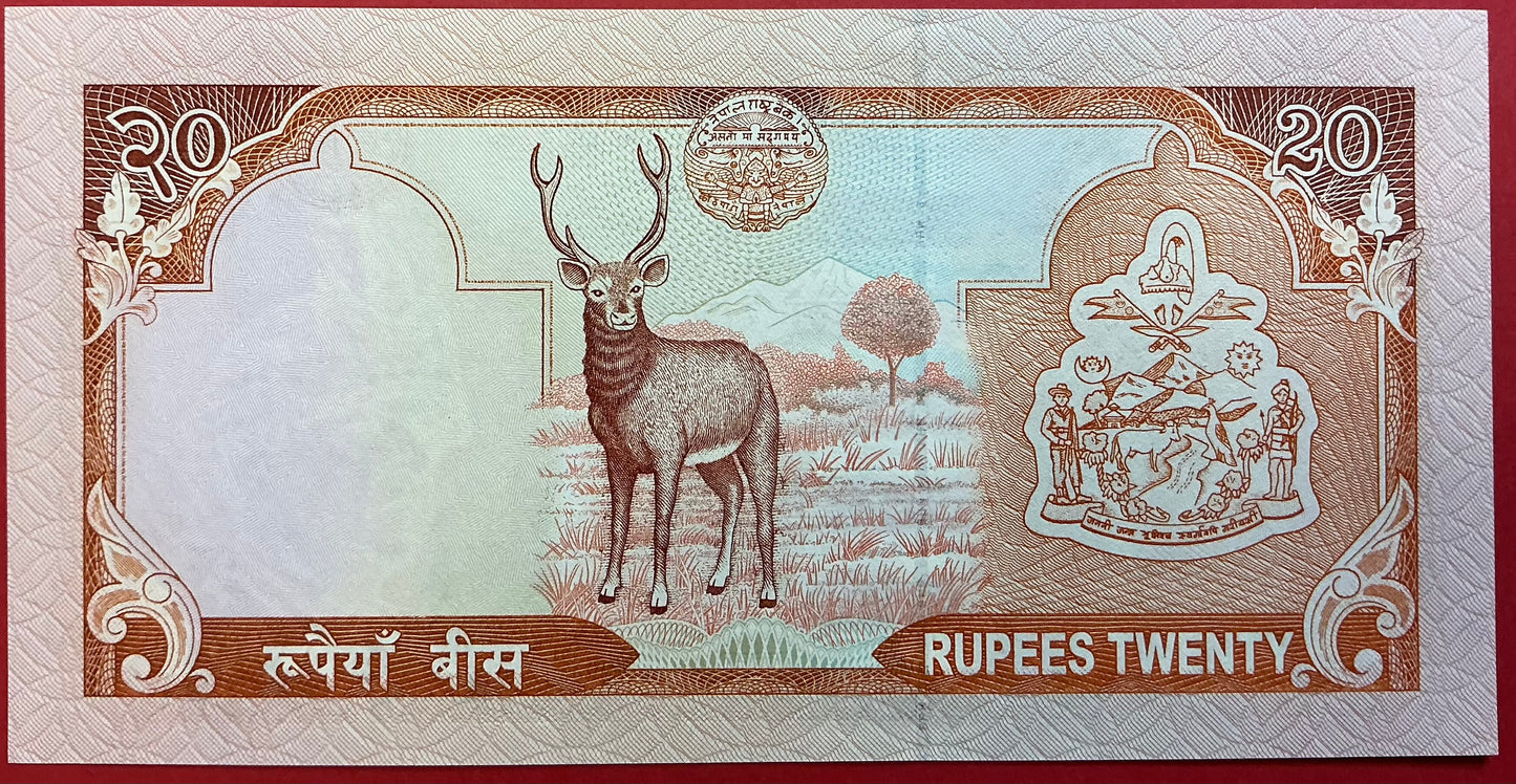 Nepal - 20 Rupees 2002-05 P#47a Kvalitet 0
