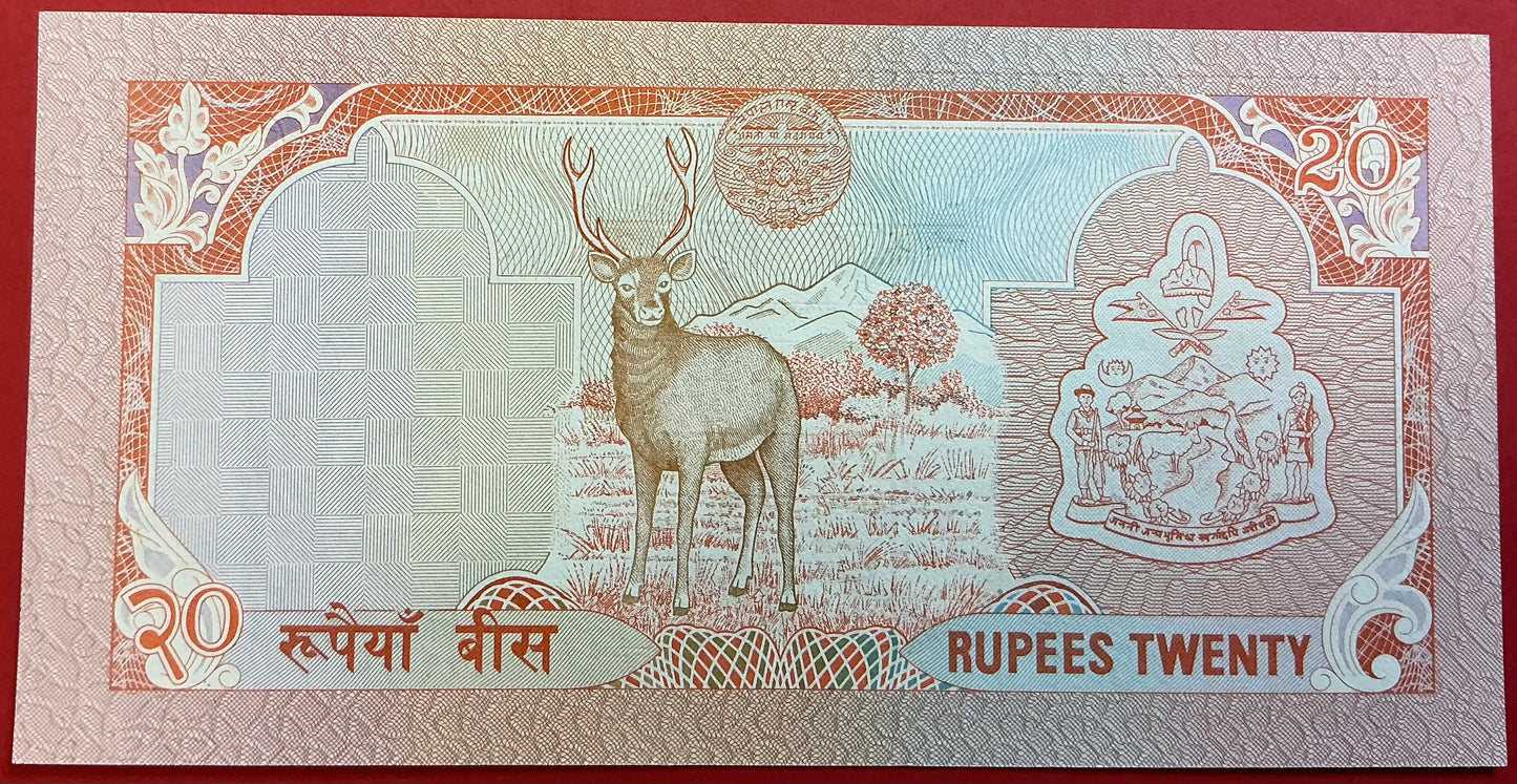 Nepal - 20 Rupees 1990-1995 P#38a Kvalitet 0