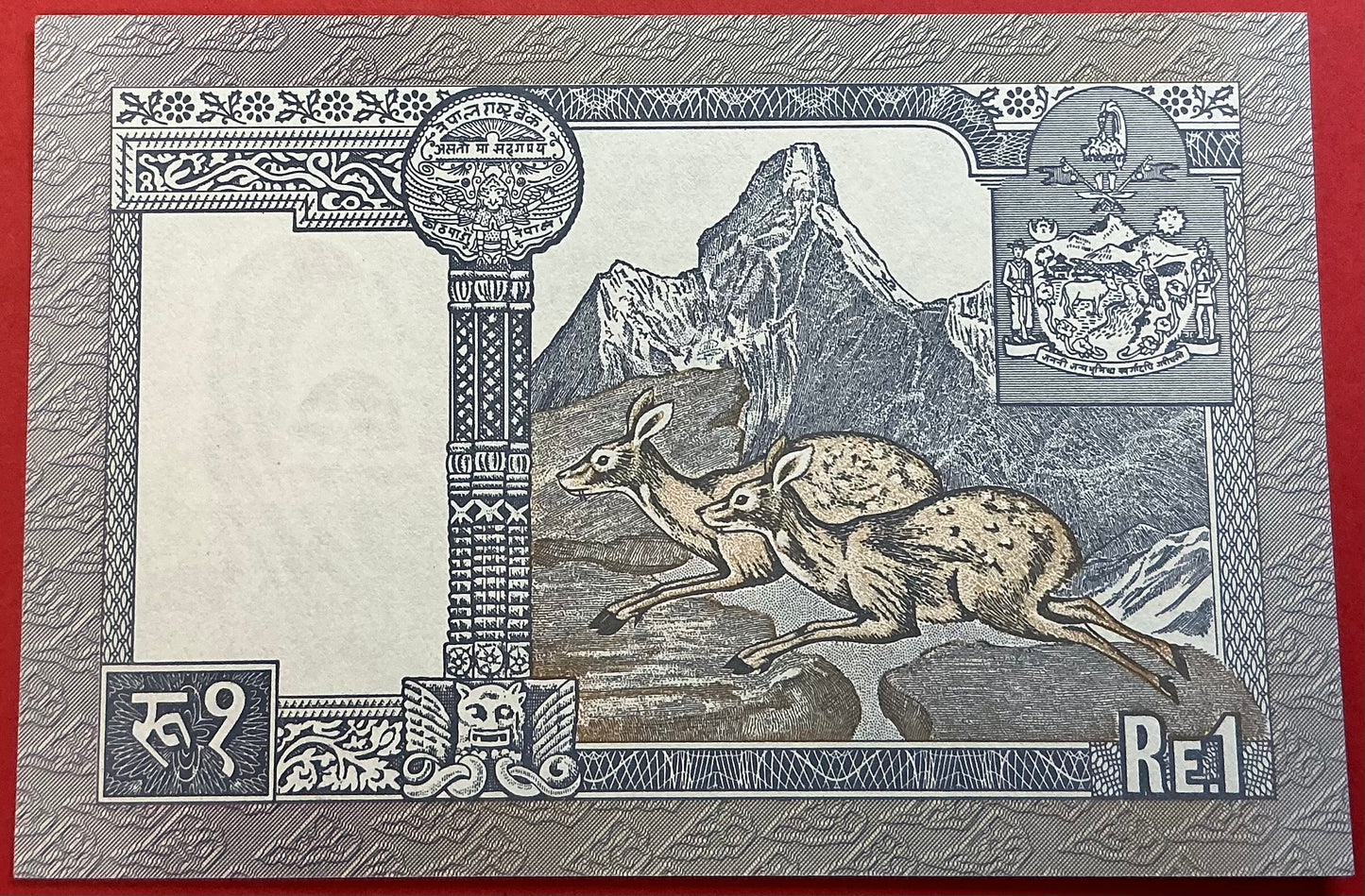 Nepal - 1 Rupee 1990-1995 P#37 Kvalitet 0