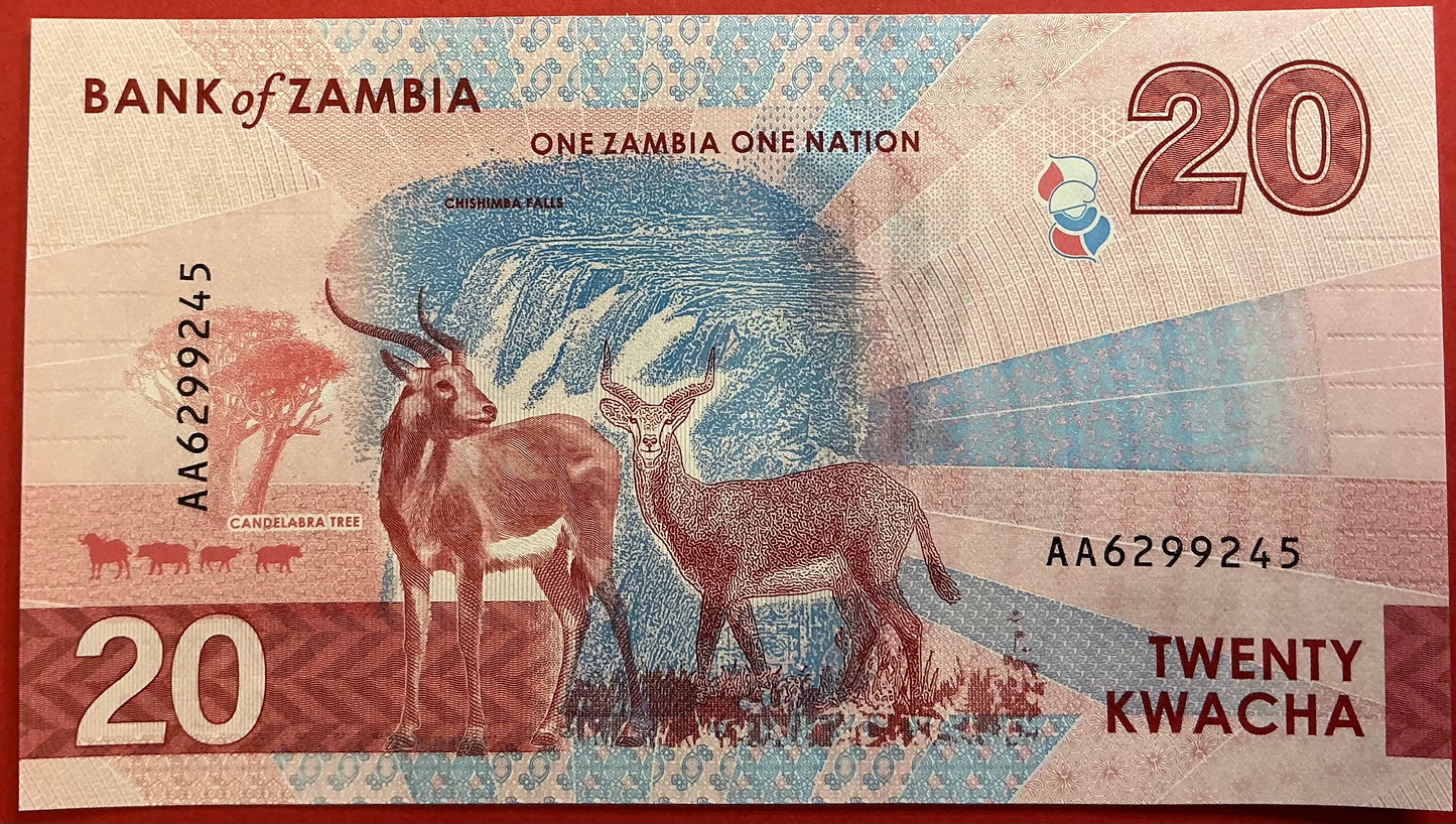 Zambia - 20 Kwacha 2024 P#W63 Kvalitet 0