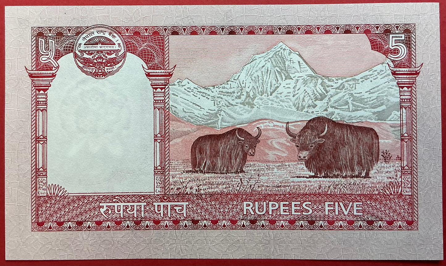 Nepal - 5 Rupees 2008 P#60b Kvalitet 0