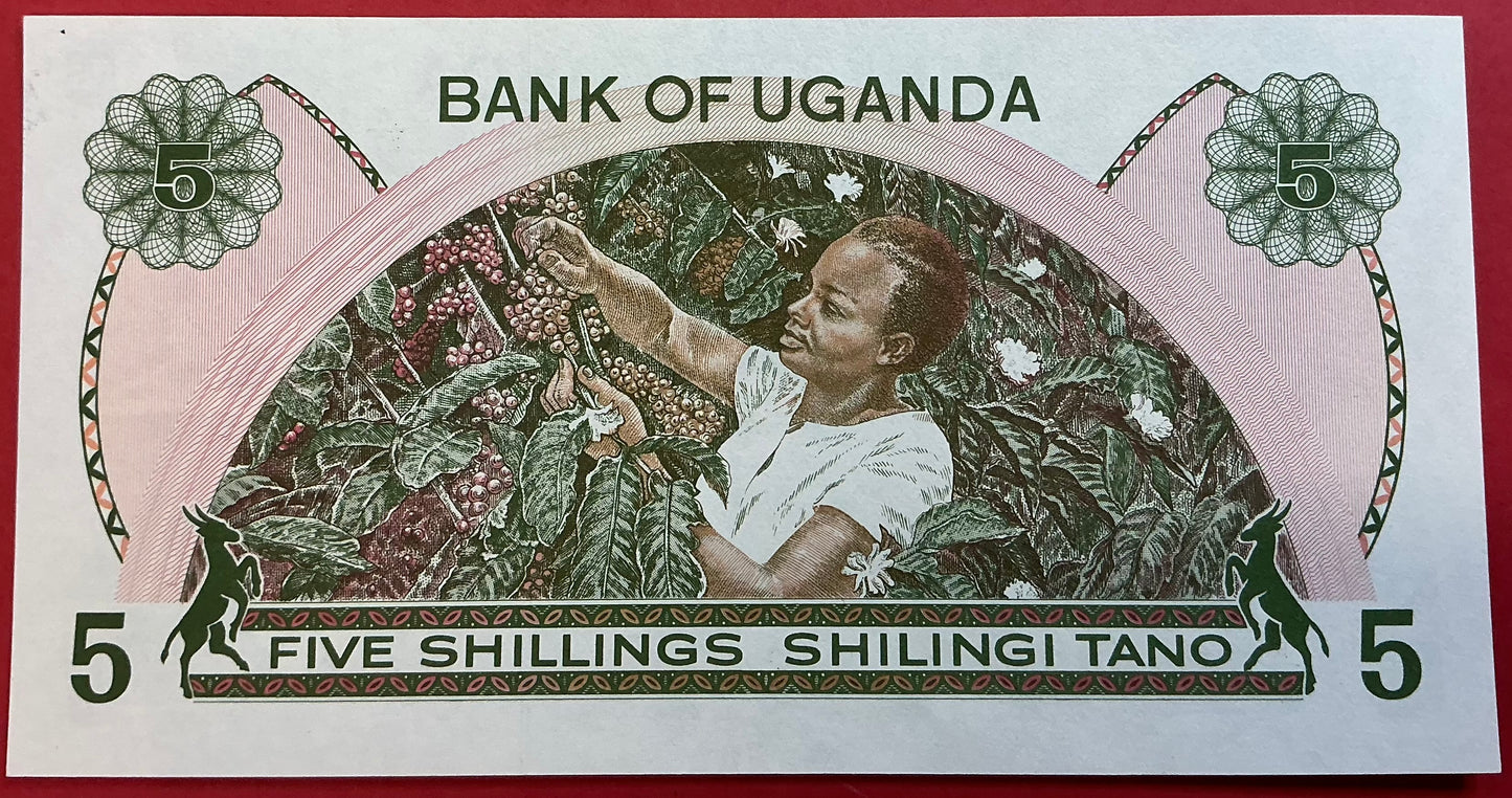 Uganda - 5 Shillings (1982) P#15 Kvalitet 0