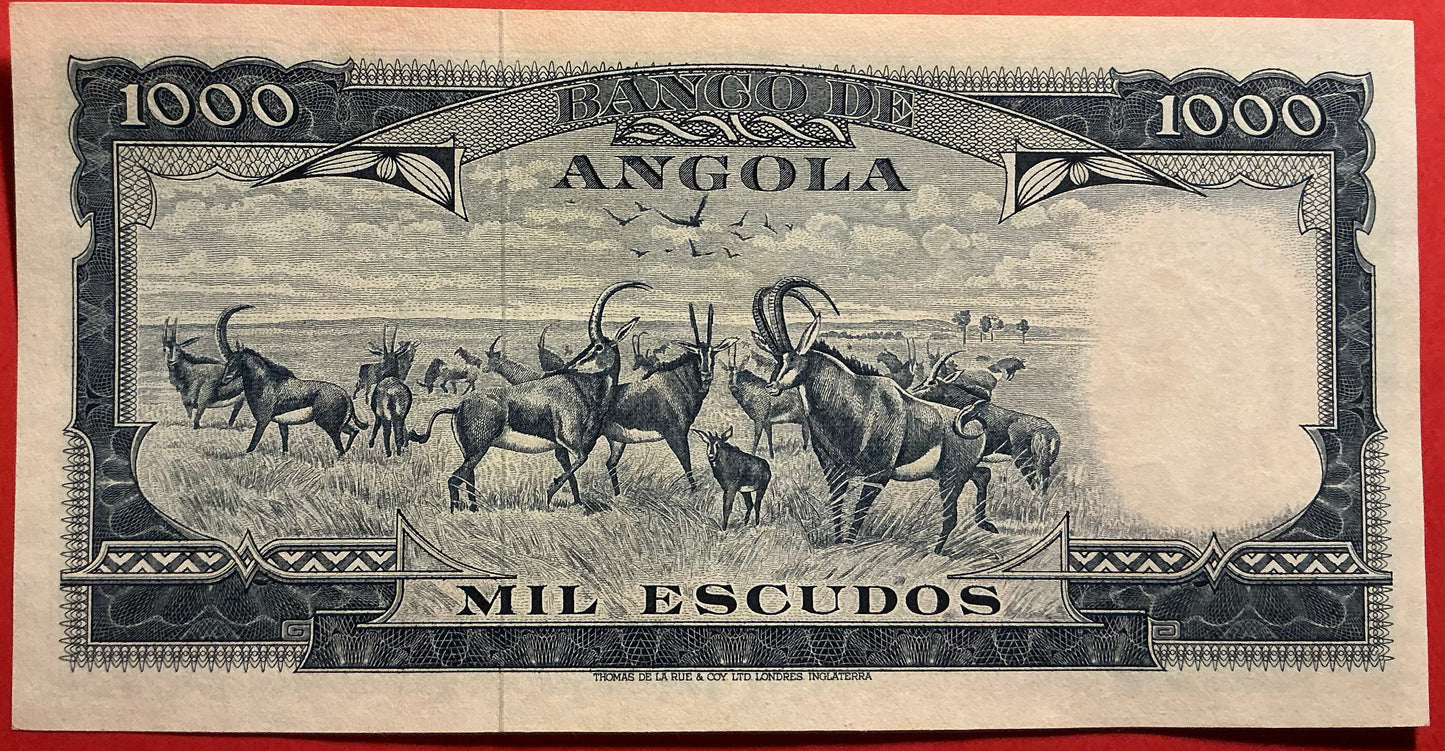 Angola - 1000 Escudos 10.6.1970 P#98 Kvalitet 0