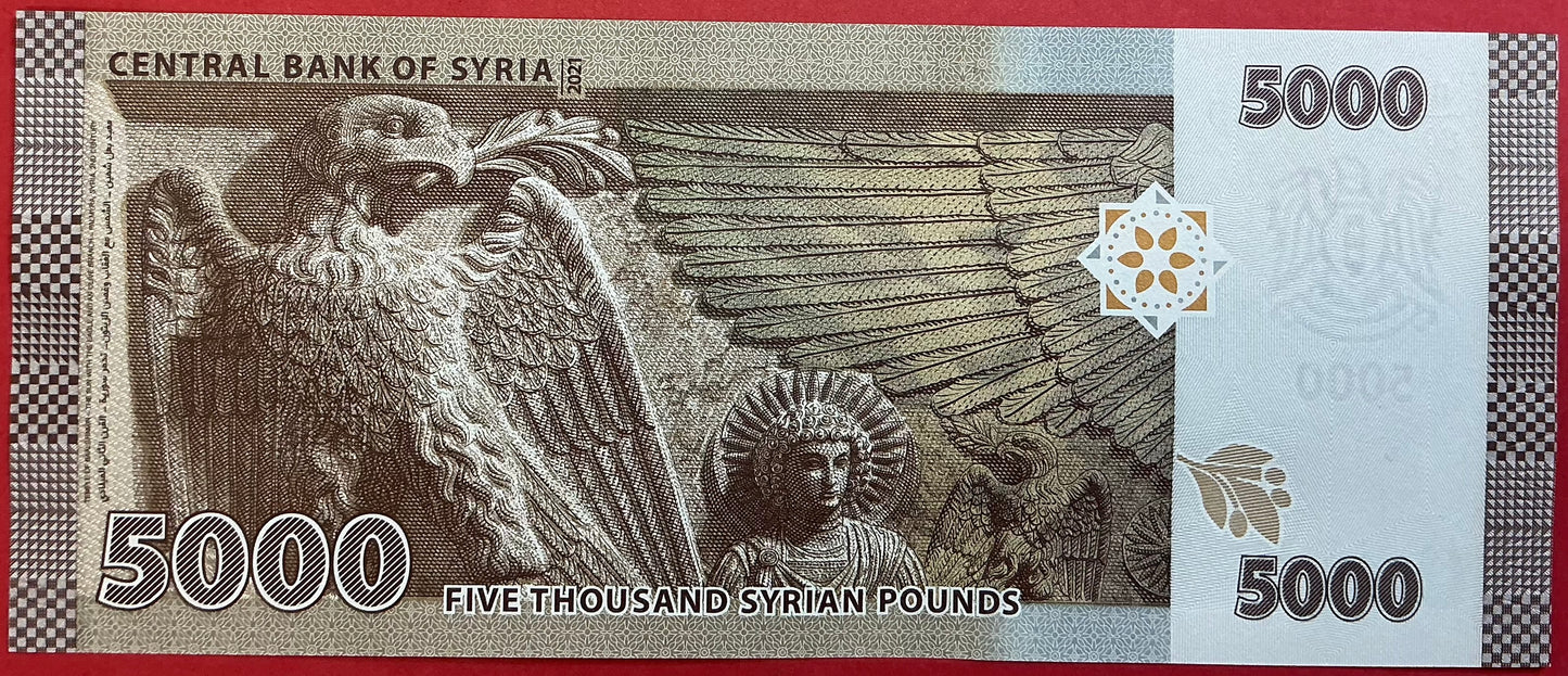 Syria - 5000 Pounds 2019-2024 P#W118 Kvalitet 0