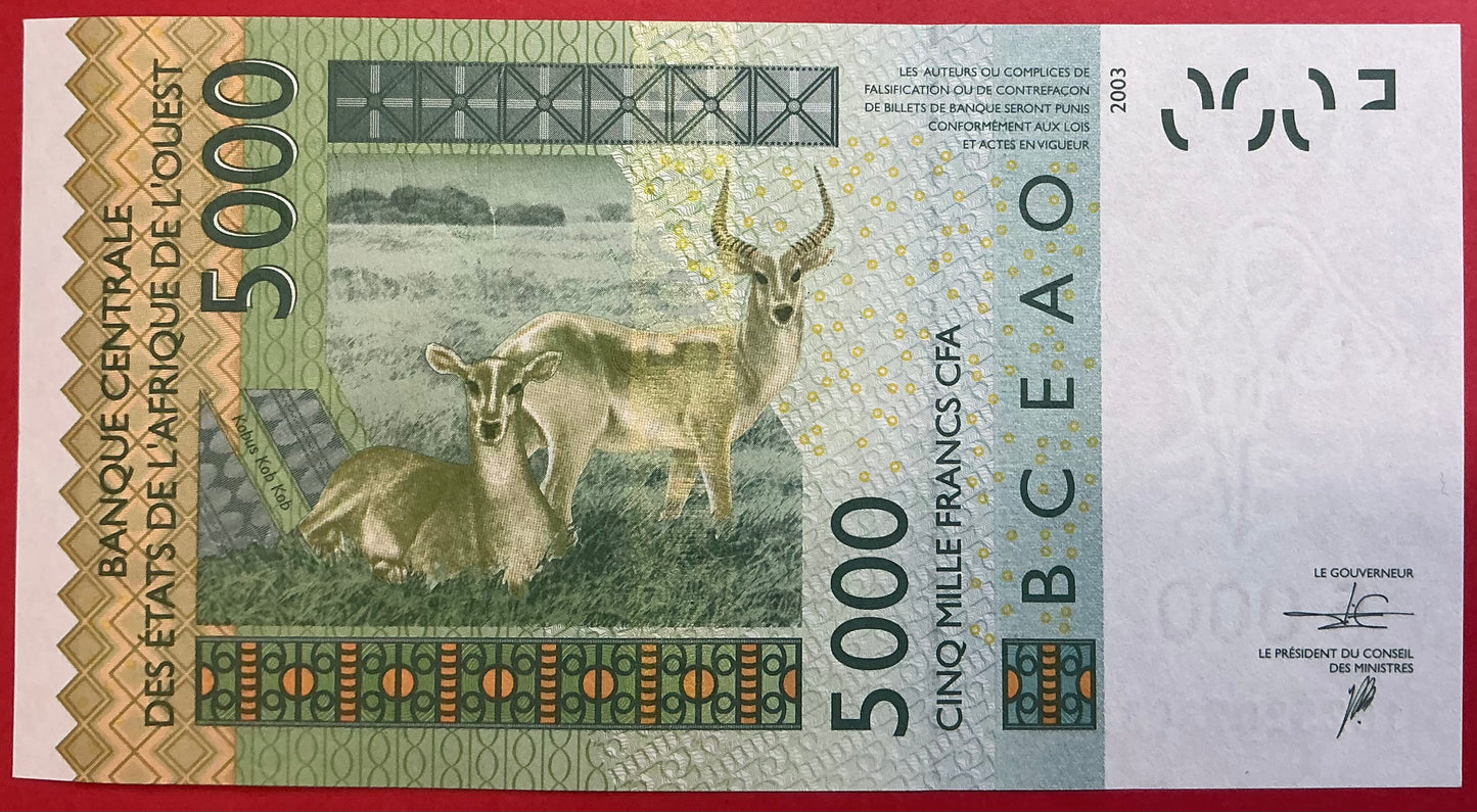 West African States/Ivory Coast - 5000 Francs 2016 P#117Ap Kvalitet 0