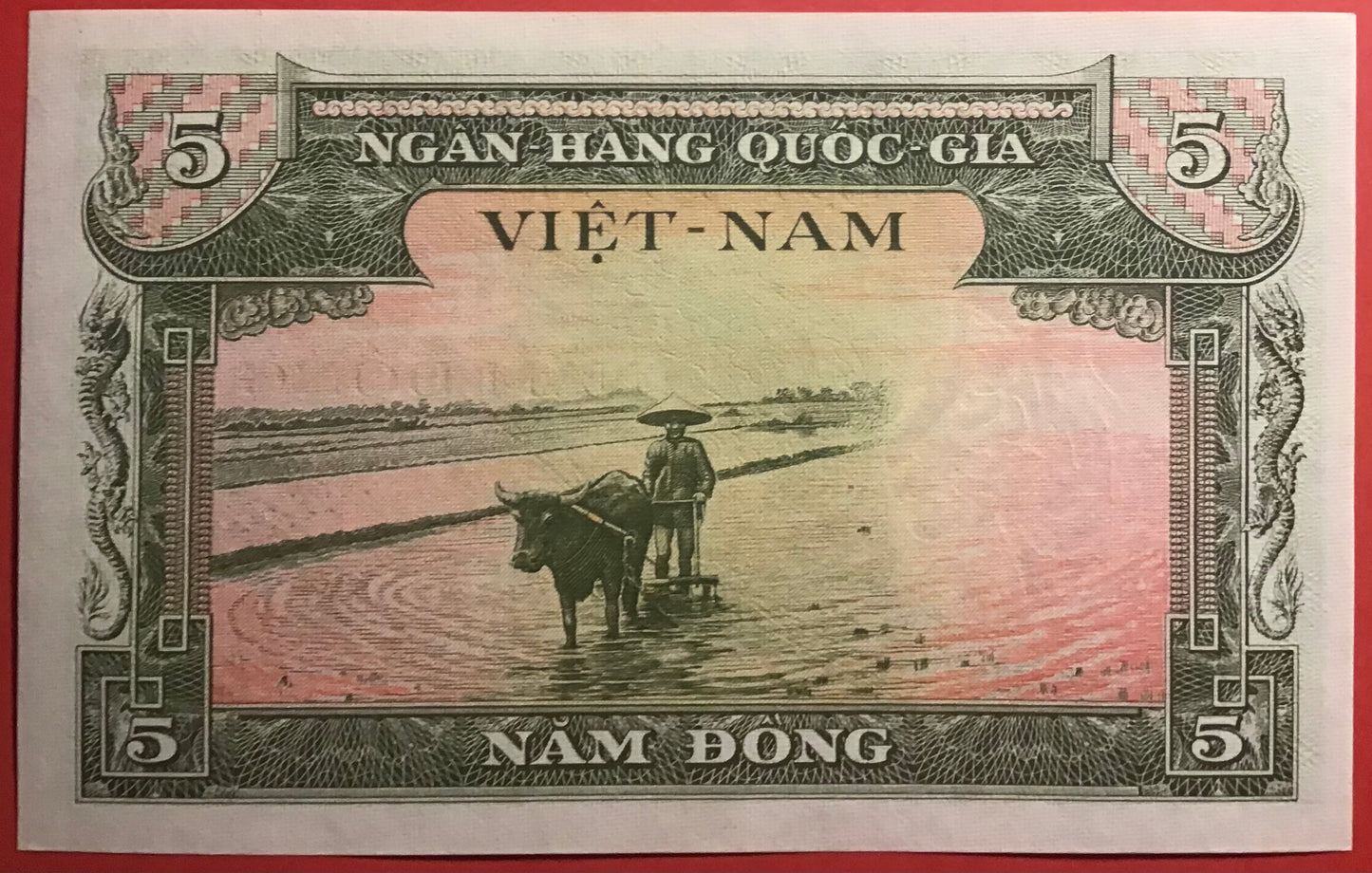 South Vietnam - 5 Dông (1955) P#2a Kvalitet 0