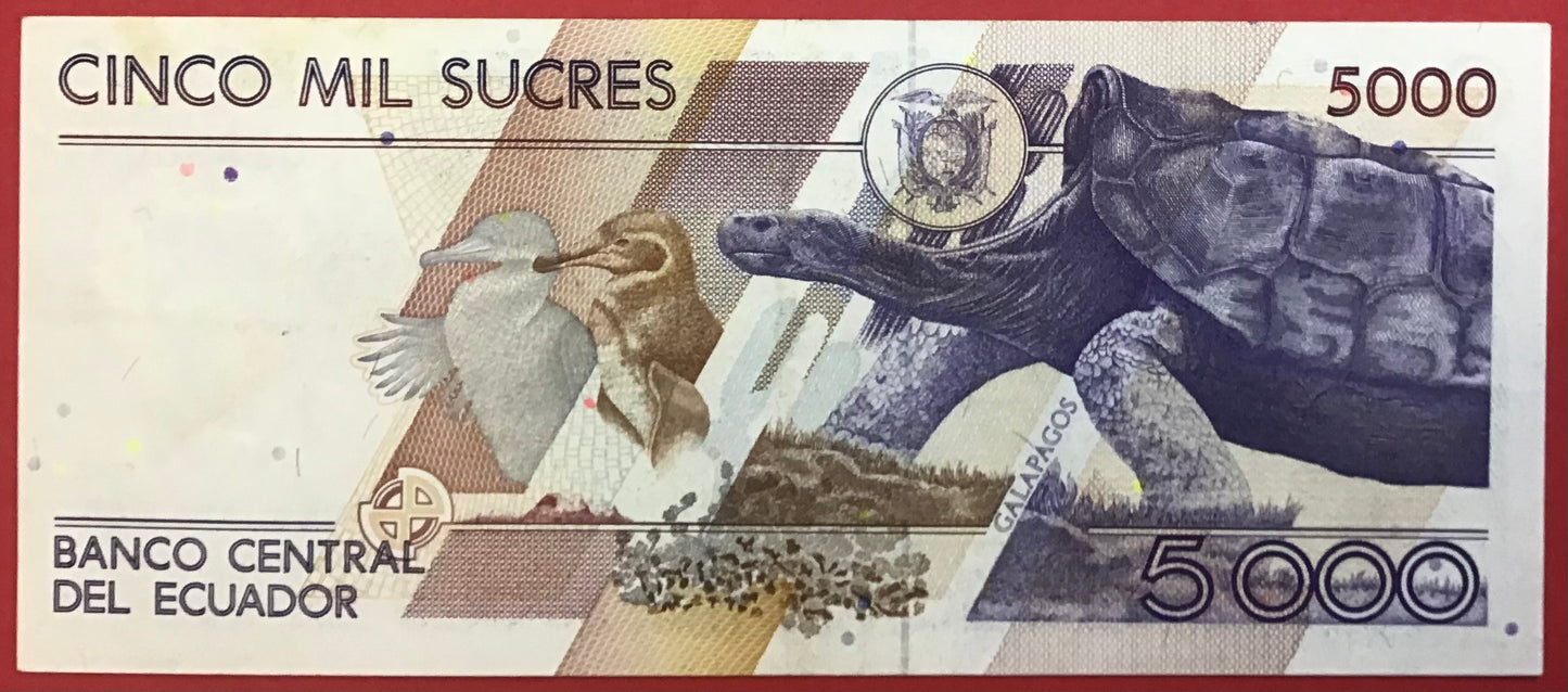 Ecuador - 5000 Sucres 31.1.1995 P#128b Kvalitet 1+