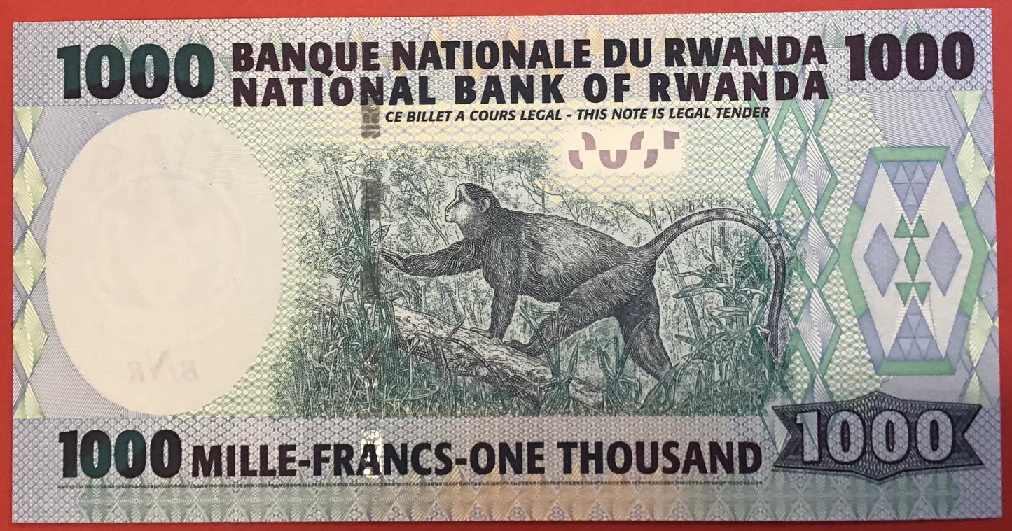 Rwanda - 1000 Francs 01.07.2004 P#31 Kvalitet 0