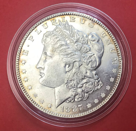 USA - 1 Dollars 1887 Km#110 26,73/0,900 Sølv Kvalitet 01