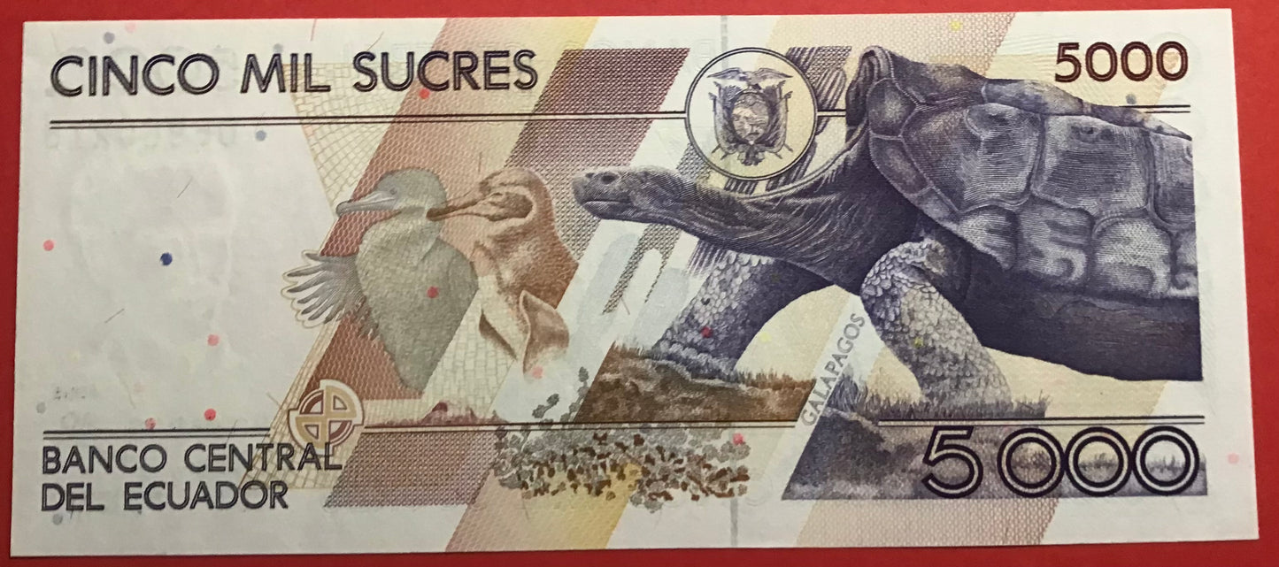 Ecuador - 5000 Sucres 12.7.1999 P#128c Kvalitet 0