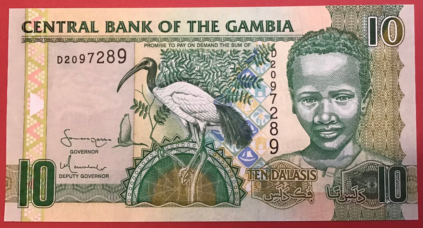 Gambia - 10 Dalasis (2006) P#26a Kvalitet 0