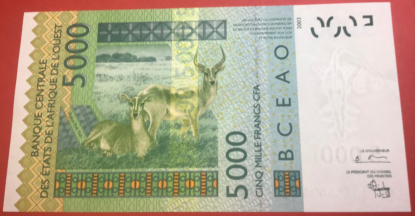 West African States/Benin - 5000 Francs 2004 P#217Bb Kvalitet 0