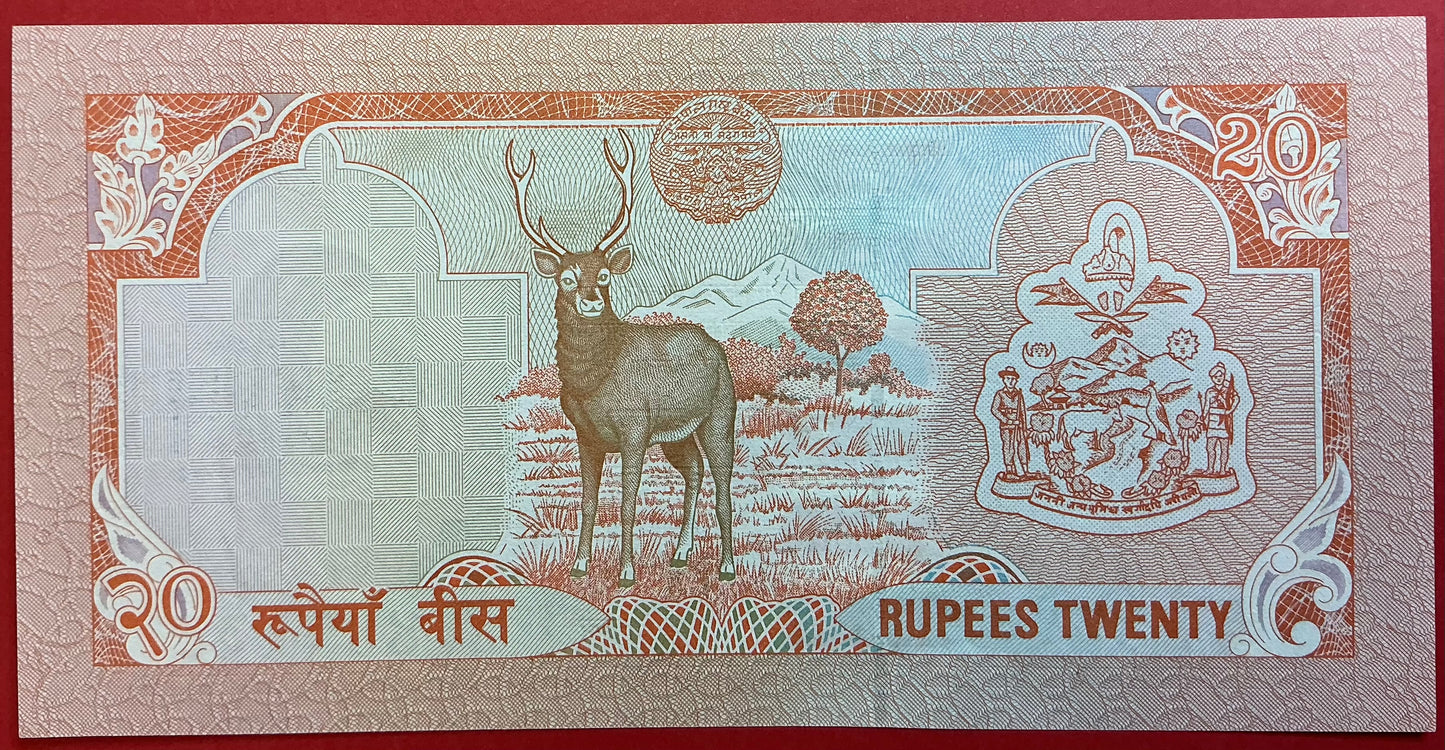 Nepal - 20 Rupees (1995-2000) P#38b Kvalitet 01