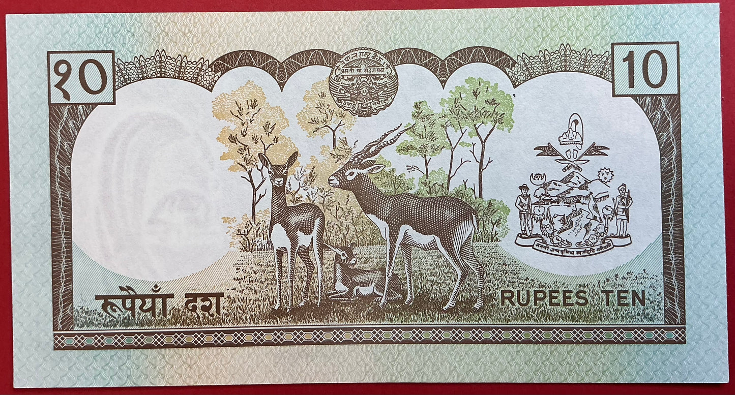 Nepal - 10 Rupees (1990-1995) P#31a Kvalitet 0