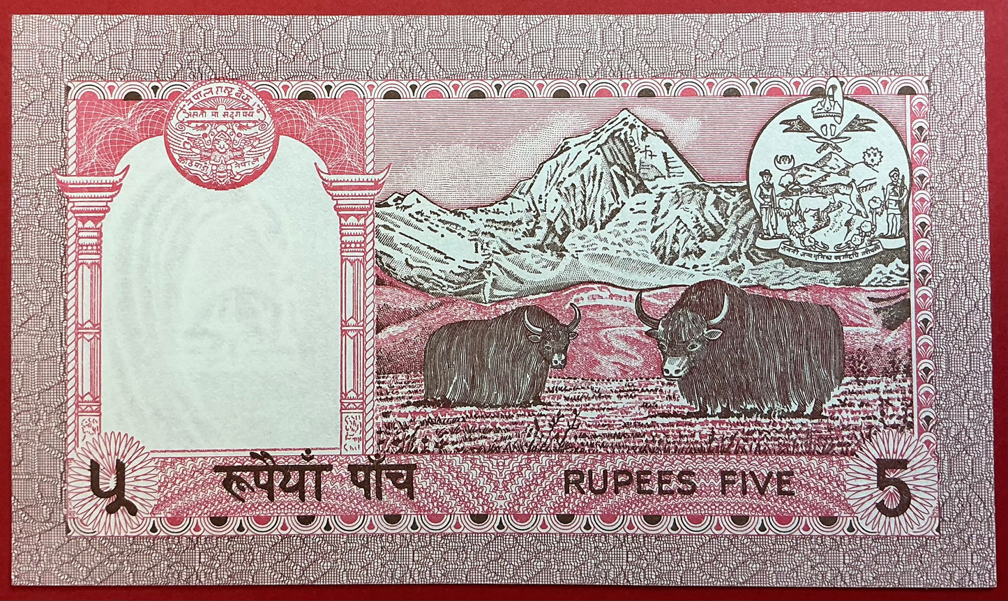 Nepal - 5 Rupees (1990-1995) P#30a Kvalitet 0