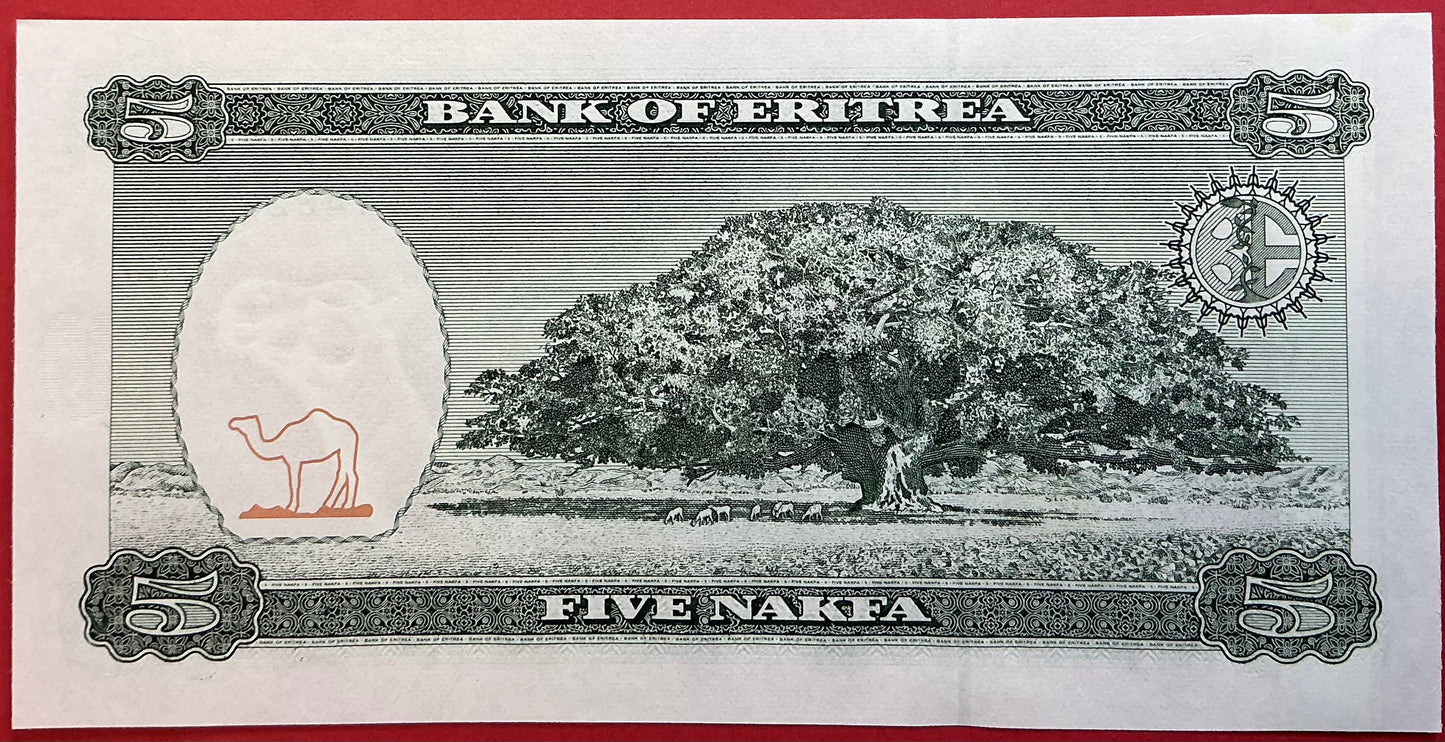 Eritrea - 5 Nakfa 24.5.1997 P#2 Kvalitet 0