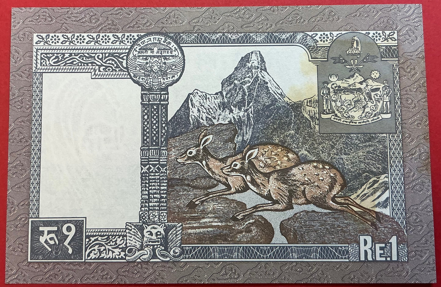 Nepal - 1 Rupee 1995-2000 P#37 Kvalitet 0