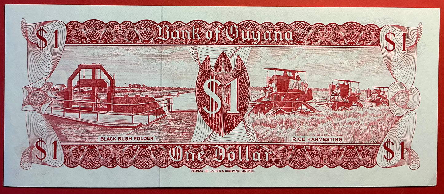 Guyana - 1 Dollar (1989) P#21e Kvalitet 01