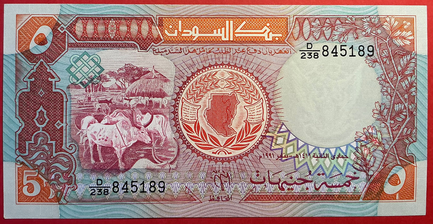Sudan - 5 Pounds 1991 P#45 Kvalitet 0