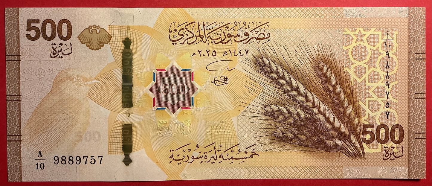 Syria - 500 Pounds 2025 P#W124 Kvalitet 0