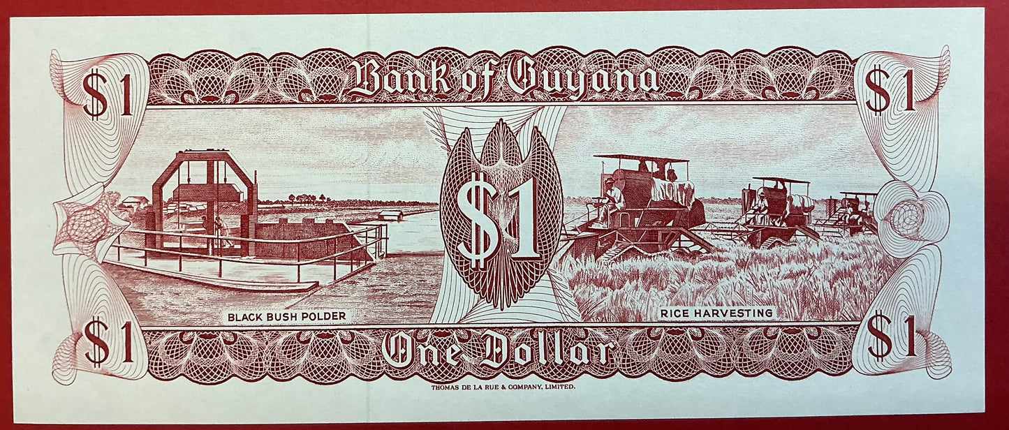 Guyana - 1 Dollar 1992 P#21g Kvalitet 0