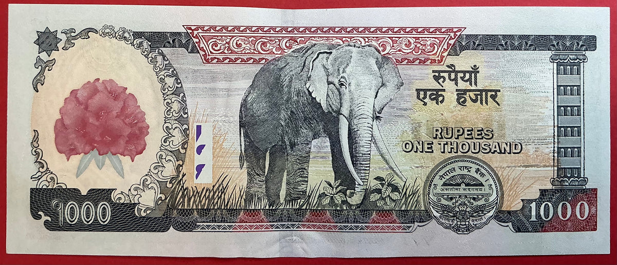 Nepal - 1000 Rupees (2007-09) P#67b Kvalitet 01/0