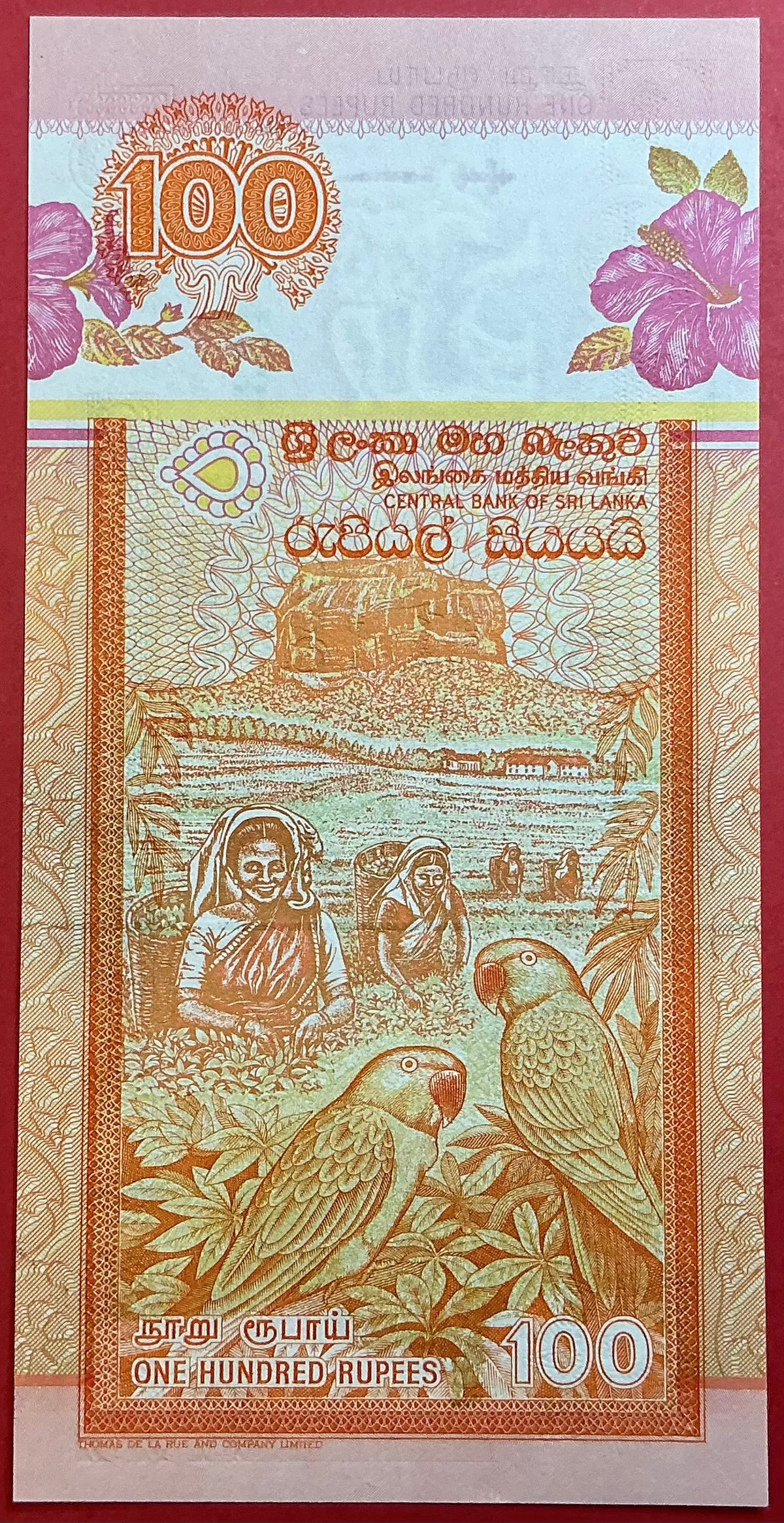 Sri Lanka - 100 Rupees 12.12.2001 P#111b Kvalitet 0