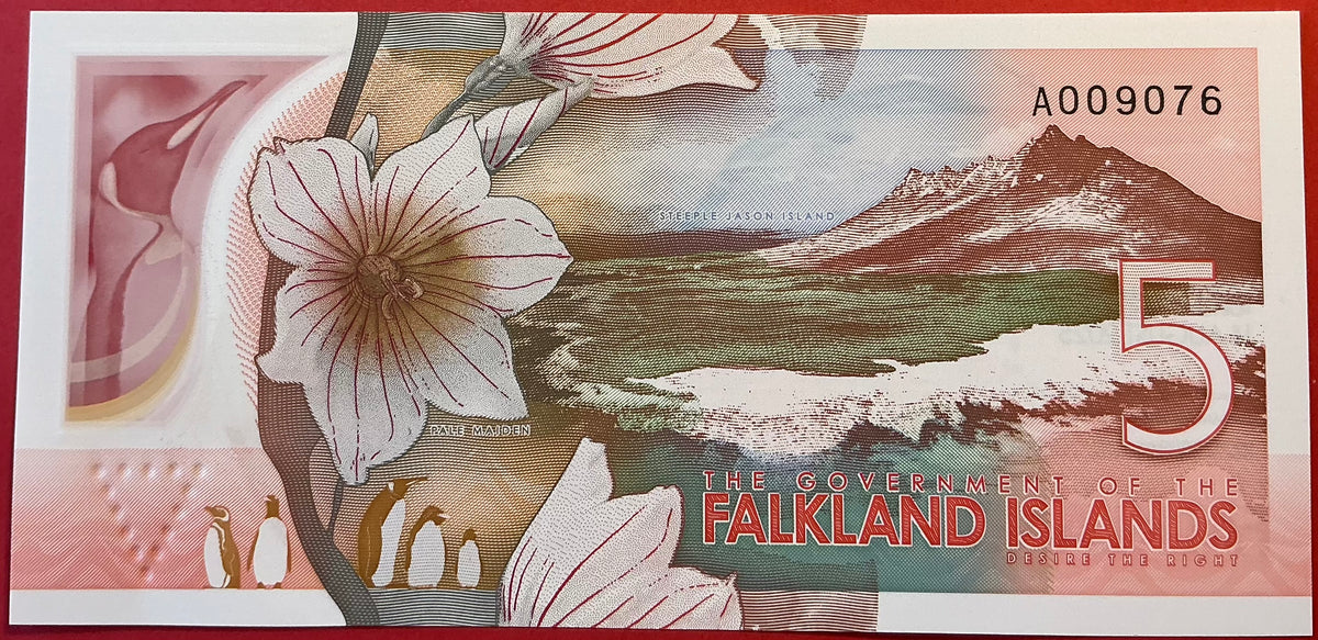 Falkland Islands - 5 Pounds 14.8.2025 P#W20 Kvalitet 0
