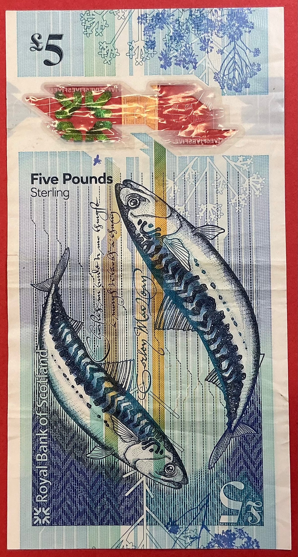 Scotland - 5 Pounds 11.2.2016 P#370 Kvalitet 1+